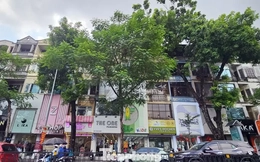 Không phải phố cổ, những tuyến đường ở Hà Nội có giá nhà phố rao bán vượt 1 tỷ đồng/m2