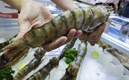 Trung Quốc ồ ạt mua tôm Việt, lần đầu soán vị trí nhập khẩu số 1 từ Mỹ