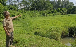 Nhà máy 500 tỉ ở Đà Nẵng "chết yểu", người dân bị vạ lây