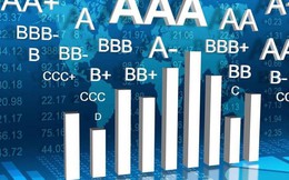 Vì sao xếp hạng tín nhiệm quốc tế của doanh nghiệp Việt Nam bị “chặn trần”