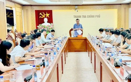 Thanh tra Chính phủ phát hiện 352 vụ việc tham nhũng trong 5 năm