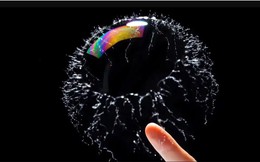 95% dự án AI không có lợi nhuận: Mark Zuckerberg thừa nhận bong bóng AI giống khủng hoảng dotcom