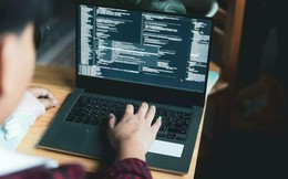 90% lập trình viên dùng AI: Nghề gõ code trước ngưỡng cửa thay đổi, cơ hội nào cho người mới vào ngành?