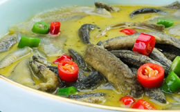 Loại cá được ví như “nhân sâm dưới nước”, giàu protein hơn cá hồi, canxi gấp gần 3 lần sữa bò