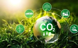 70% lượng phát thải CO2 toàn cầu đến từ đô thị: Đâu là giải pháp để giảm phát thải?