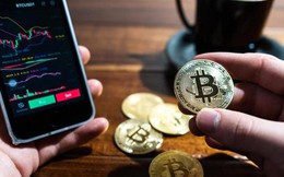 Thị trường tiền điện tử Việt Nam chính thức vượt 200 triệu USD giá trị giao dịch, đứng thứ 3 châu Á