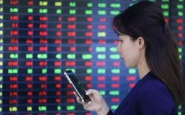 Bất chấp chứng khoán giảm điểm, tỷ phú Việt tiếp tục giàu lên