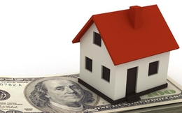 Tự ý bỏ cọc mua đất, người mua phải bồi thường thế nào?