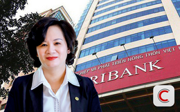 Bà Nguyễn Tuyết Dương rời Hội đồng thành viên Agribank