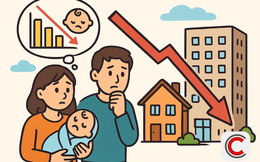 TS Nguyễn Văn Đính: Người Việt đang sinh ít con hơn vì giá nhà