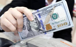 Nhiều ngân hàng niêm yết giá bán USD kịch trần
