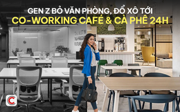 Gen Z bỏ văn phòng, đổ xô tới Co-working Café và cà phê 24h, chuyên gia F&B khẳng định đây là “cửa sáng” cho quán cà phê mở chuỗi