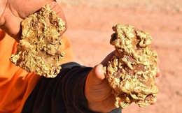 Đào được vàng có phải nộp cho Nhà nước không?