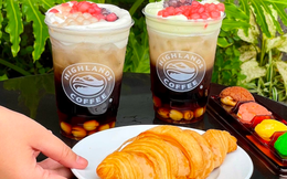 Trà sen vàng của Highlands Coffee dừng bán do dùng nguyên liệu từ Đồ hộp Hạ Long