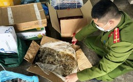 Thực phẩm bẩn liên tiếp bị phanh phui