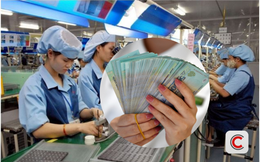 Doanh nghiệp trả lương tiền mặt trên 5 triệu đồng/người có được trừ khi tính thuế thu nhập doanh nghiệp? Bộ Tài chính trả lời