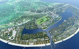 CEO VinEnergo: “Sự an toàn của hệ sinh thái biển Cần Giờ là ưu tiên tối thượng”