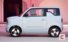 Quy tắc 2521 của hãng xe điện nổi tiếng Trung Quốc: Kỷ luật sắt, đưa 5.000 nhân viên năng suất kém vào ‘trại đào tạo lại’ hàng năm