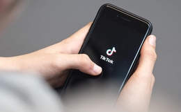 Công ty TikTok Pte. Ltd bị xử phạt 880 triệu đồng