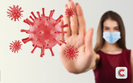 Virus Nipah trong thực phẩm hữu cơ: Những điều cần biết để tránh nhiễm bệnh