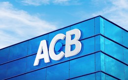 Động thái lạ của ACB: Tài sản cán mốc triệu tỷ đồng vẫn mạnh tay ‘hy sinh’ lợi nhuận để xây đệm dự phòng