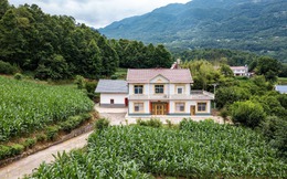 Gia đình 5 người dân phố dắt nhau về ngoại ô, mua đất trên đồi xây “vườn cổ tích”, 2 năm sau tán gia bại sản: Cái giá thật của giấc mơ dưỡng già