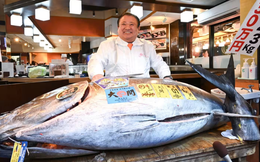 Cận cảnh con cá ngừ giá 83 tỷ đồng: Khi các đại gia Nhật Bản "so găng" từng đồng lẻ