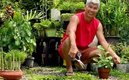Từ "anh trưởng phòng" đến ngày "không còn ai hỏi việc": Khoảng trống tuổi hưu khó lấp đầy