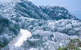 Phát hiện đỉnh núi cao 1.931 m ở Việt Nam, từng lạnh -9°C, mùa đông phủ băng trắng đẹp như châu Âu