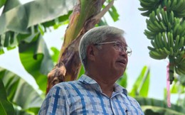 'Vua chuối' Việt Nam tay trắng làm nên cơ nghiệp 20 triệu USD/năm: Ngoài 70 tuổi vẫn dậy từ 5h sáng, tự nhận 'mình dở nên phải làm nhiều'