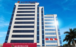 Agribank rao bán mảnh đất rộng hơn 1.400 m2 tại TP.HCM với giá 121 tỷ đồng