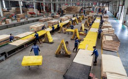 Doanh nghiệp bị 'om' tiền cả chục tỷ đồng vì rắc rối thuế quan