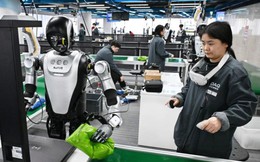 Nghề huấn luyện robot tại Trung Quốc: Rửa bát 200 lần/ngày kiếm 25 triệu, ngậm ngùi "dạy việc" cho sẽ kẻ cướp chén cơm của mình