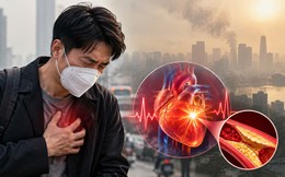Nghiên cứu Harvard: Ô nhiễm không khí có thể làm tăng nguy cơ đau tim chỉ trong vài giờ