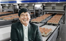 Công ty của tỷ phú Trần Đình Long bán gần 1 triệu quả trứng gà mỗi ngày, đưa hàng sang cả Lào và Campuchia