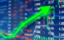 Một cổ phiếu ngân hàng tăng gần 11% trong hôm nay