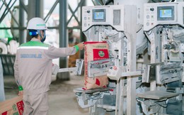 Bán bê tông, vữa khô cho công ty của Vingroup, một doanh nghiệp báo lãi tăng 136%, vượt kế hoạch năm chỉ sau 9 tháng