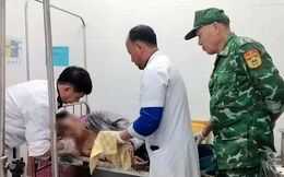 Cứu sống người dân bị ngộ độc lá ngón ở Nghệ An