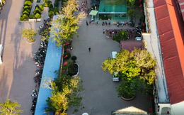 Hải Phòng siết chặt an toàn học đường sau vụ học sinh lớp 1 tử vong