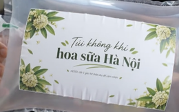 Trong lúc Hà Nội cắt tỉa hoa sữa cho bớt "thu nồng", xuất hiện túi đựng mùi hoa sữa giá 300.000 đồng