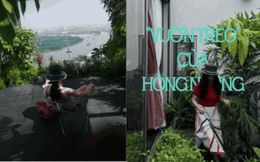 "Vườn treo" trong penthouse 650m² của diva Hồng Nhung