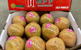 Trung Quốc được mùa với loại quả Việt Nam đang trồng rất nhiều: Châu Âu liên tục chốt đơn, diện tích trồng hơn 100.000 ha