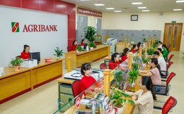 Công ty Amity (tên cũ là Công ty Nghệ Sĩ Quyền Linh) nợ ngân hàng 126 tỷ: Ngân hàng thông báo chuẩn bị đấu giá khoản nợ