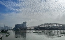 “Lá dừa nước” khổng lồ nặng hơn 3.400 tấn xuất hiện trên sông Sài Gòn, dân mạng thích thú