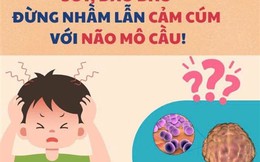 Cúm mùa và não mô cầu đều có thể gây sốt cao đột ngột: Bác sĩ Trương Hữu Khanh chỉ cách phân biệt 2 bệnh
