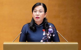 Sửa Luật Điện lực: Không đẩy rủi ro đầu tư, kinh doanh sang người sử dụng điện