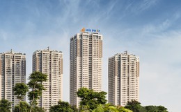 Vợ Chủ tịch Hải Phát Invest mua thành công 15 triệu cổ phiếu HPX