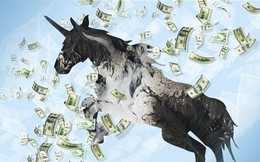 Thời hoàng kim đã qua của giới startup ĐNÁ: Lần đầu tiên kể từ năm 2018 không có thêm kỳ lân nào, cơn sốt gọi vốn giờ nguội lạnh