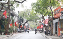 Nhà đầu tư 'săn' nhà đất không dính quy hoạch ở Vĩnh Hưng