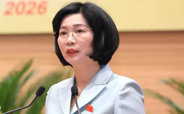Vụ đổ phế thải khu đô thị Thanh Hà: Chủ tịch HĐND Hà Nội truy trách nhiệm đến cùng